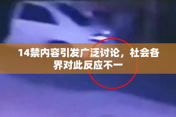 14禁内容引发广泛讨论，社会各界对此反应不一