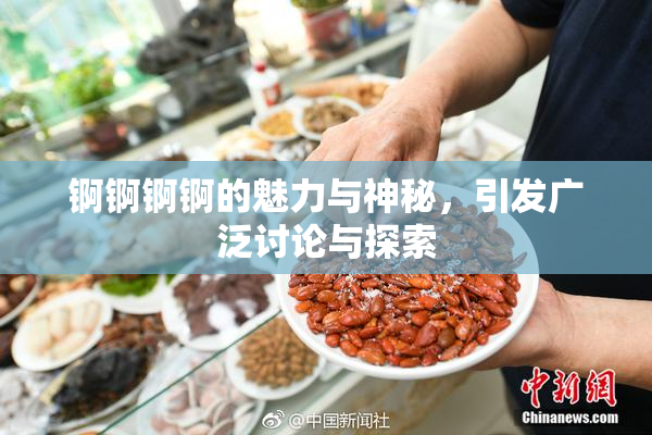 锕锕锕锕的魅力与神秘，引发广泛讨论与探索