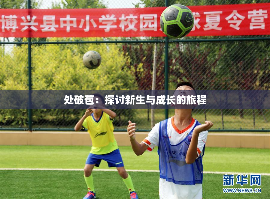 处破苞：探讨新生与成长的旅程