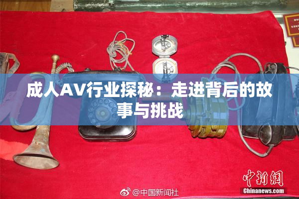 成人AV行业探秘：走进背后的故事与挑战
