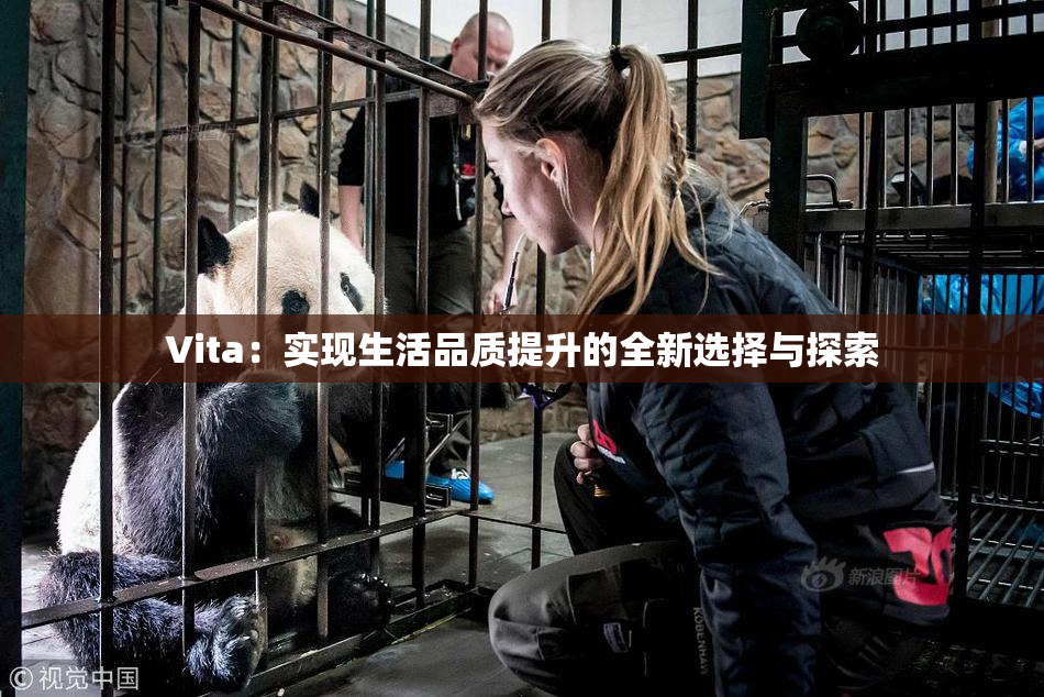 Vita：实现生活品质提升的全新选择与探索