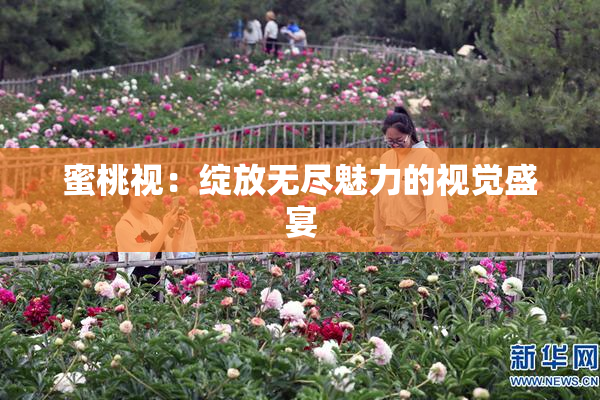 蜜桃视：绽放无尽魅力的视觉盛宴