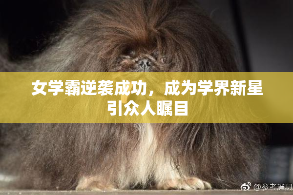 女学霸逆袭成功，成为学界新星引众人瞩目
