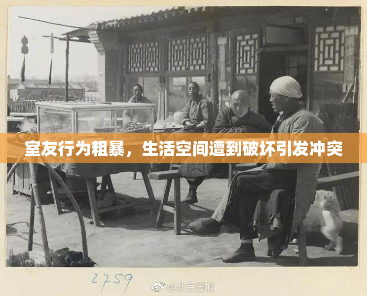 室友行为粗暴，生活空间遭到破坏引发冲突