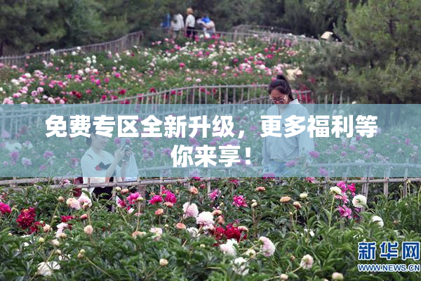 免费专区全新升级，更多福利等你来享！