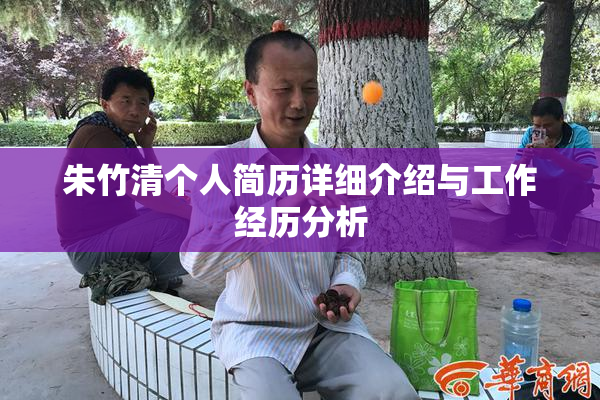 朱竹清个人简历详细介绍与工作经历分析