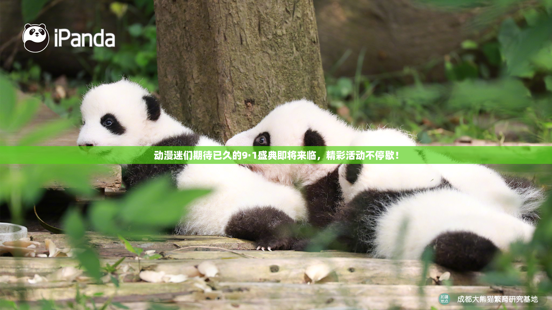 动漫迷们期待已久的9·1盛典即将来临，精彩活动不停歇！