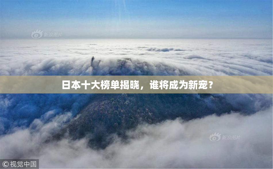 日本十大榜单揭晓，谁将成为新宠？