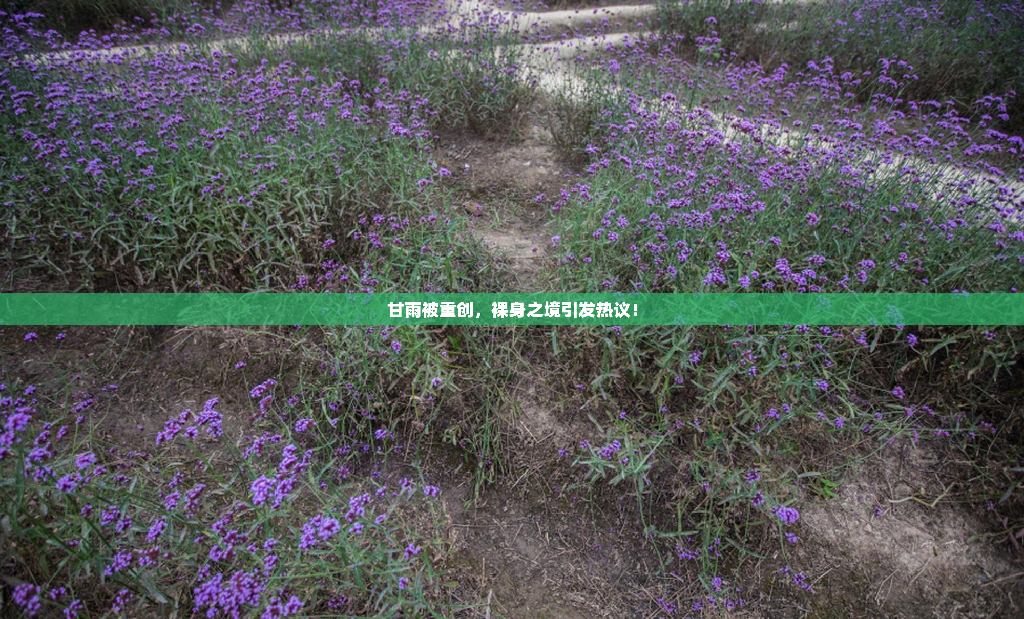 甘雨被重创，裸身之境引发热议！