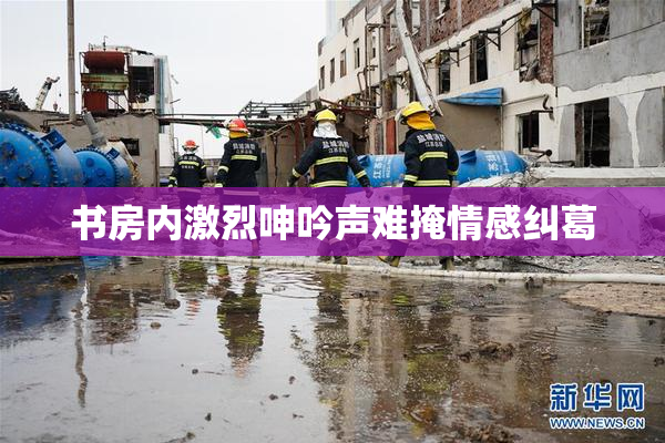 书房内激烈呻吟声难掩情感纠葛
