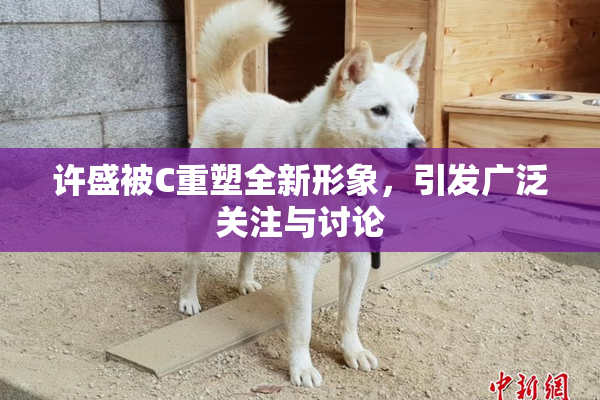 许盛被C重塑全新形象，引发广泛关注与讨论