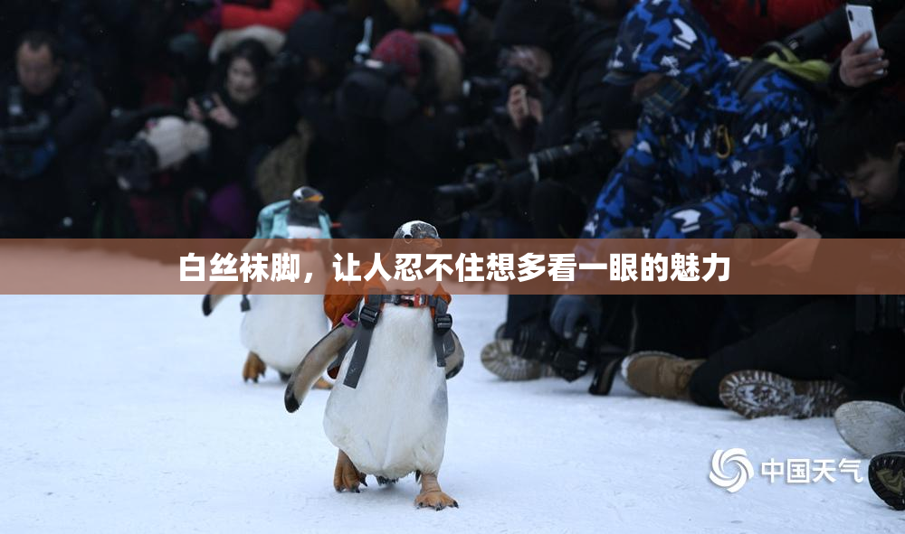 白丝袜脚，让人忍不住想多看一眼的魅力