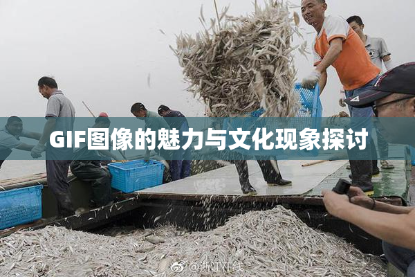GIF图像的魅力与文化现象探讨