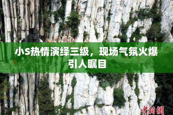 小S热情演绎三级，现场气氛火爆引人瞩目