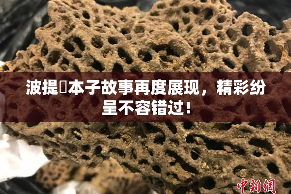 波提歐本子故事再度展现，精彩纷呈不容错过！