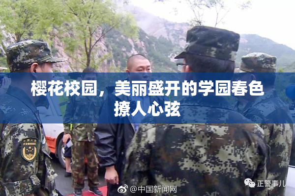 樱花校园，美丽盛开的学园春色撩人心弦