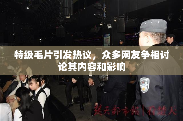 特级毛片引发热议，众多网友争相讨论其内容和影响