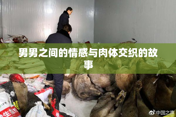 男男之间的情感与肉体交织的故事