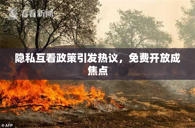 隐私互看政策引发热议，免费开放成焦点