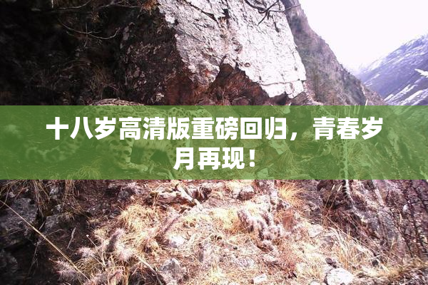 十八岁高清版重磅回归，青春岁月再现！