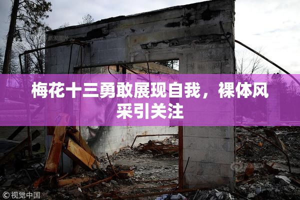 梅花十三勇敢展现自我，裸体风采引关注