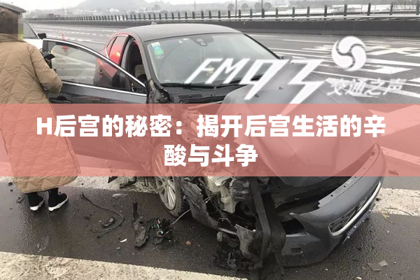 H后宫的秘密：揭开后宫生活的辛酸与斗争
