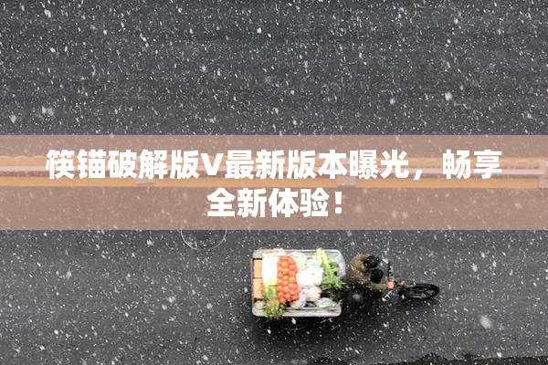筷锚破解版V最新版本曝光，畅享全新体验！