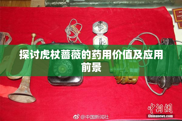 探讨虎杖蔷薇的药用价值及应用前景