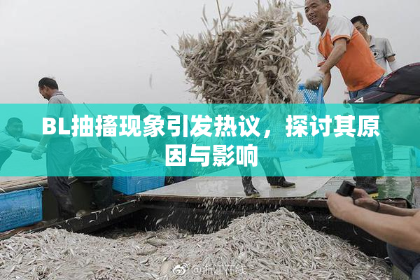 BL抽搐现象引发热议，探讨其原因与影响