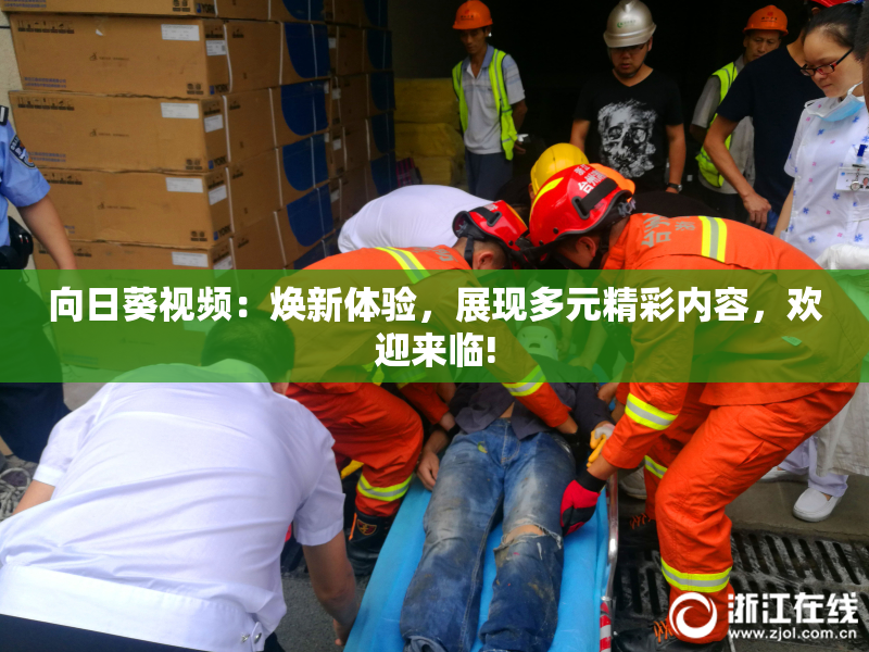 向日葵视频：焕新体验，展现多元精彩内容，欢迎来临!