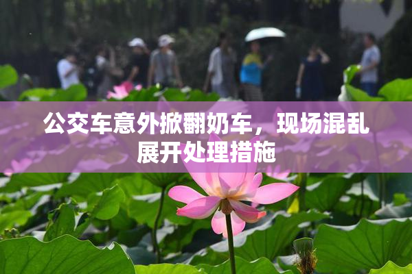 公交车意外掀翻奶车，现场混乱展开处理措施