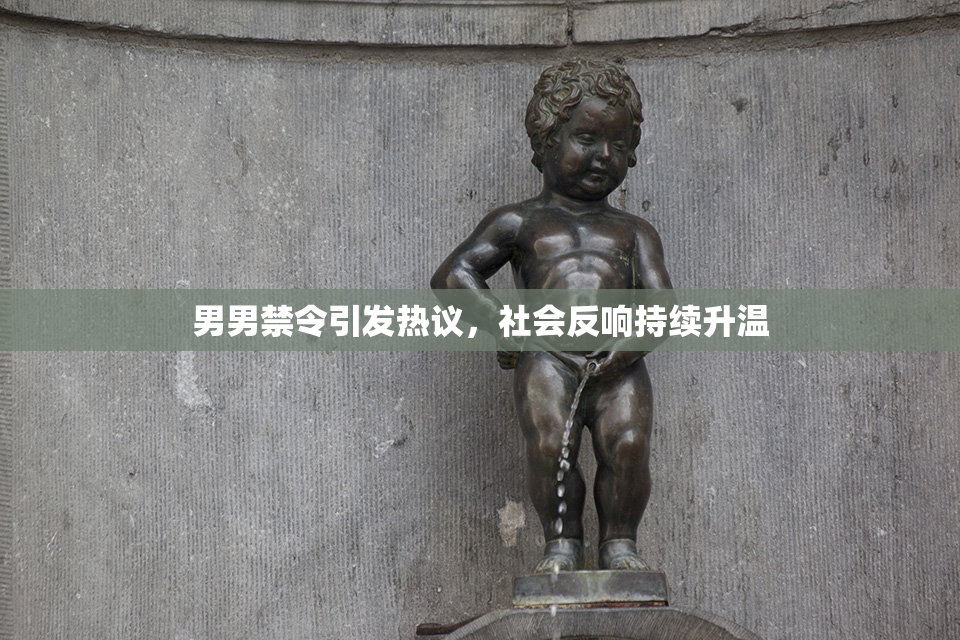 男男禁令引发热议，社会反响持续升温