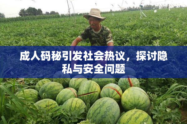 成人码秘引发社会热议，探讨隐私与安全问题
