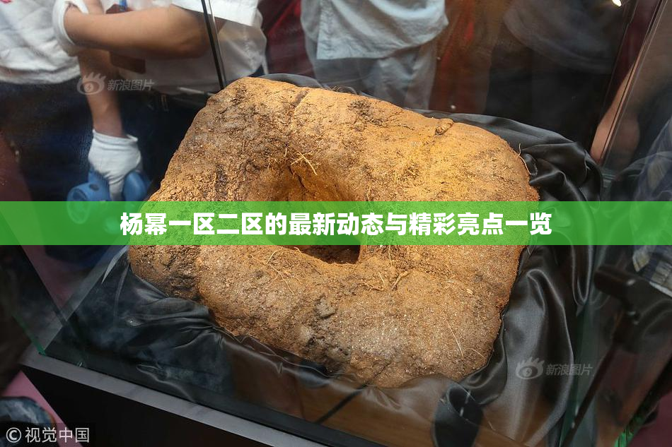 杨幂一区二区的最新动态与精彩亮点一览