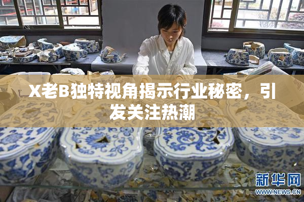 X老B独特视角揭示行业秘密，引发关注热潮