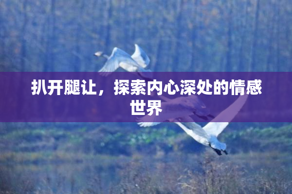 扒开腿让，探索内心深处的情感世界