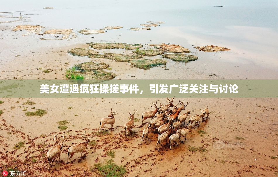 美女遭遇疯狂揉搓事件，引发广泛关注与讨论