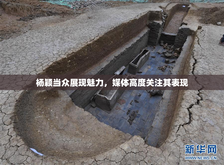 杨颖当众展现魅力，媒体高度关注其表现