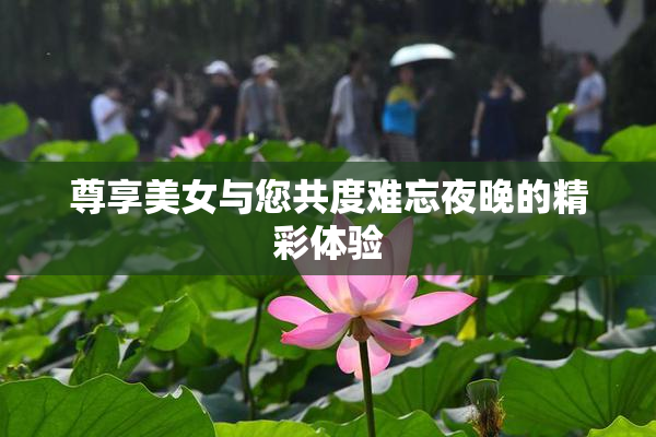 尊享美女与您共度难忘夜晚的精彩体验