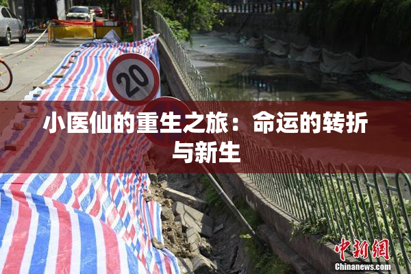 小医仙的重生之旅：命运的转折与新生