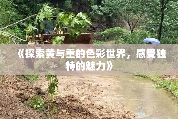 《探索黄与重的色彩世界，感受独特的魅力》