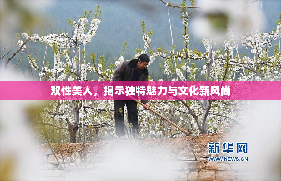 双性美人，揭示独特魅力与文化新风尚