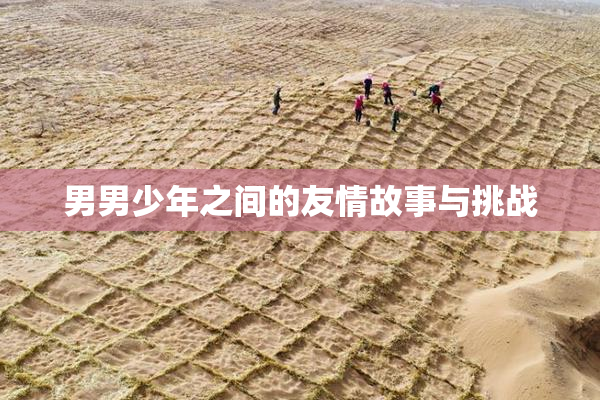 男男少年之间的友情故事与挑战