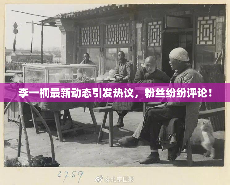 李一桐最新动态引发热议，粉丝纷纷评论！