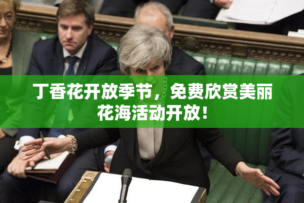 丁香花开放季节，免费欣赏美丽花海活动开放！