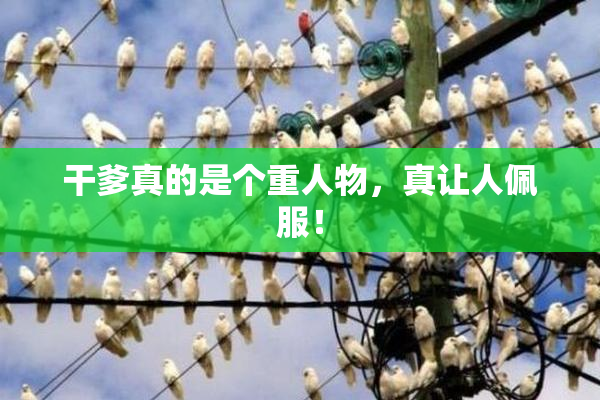 干爹真的是个重人物，真让人佩服！