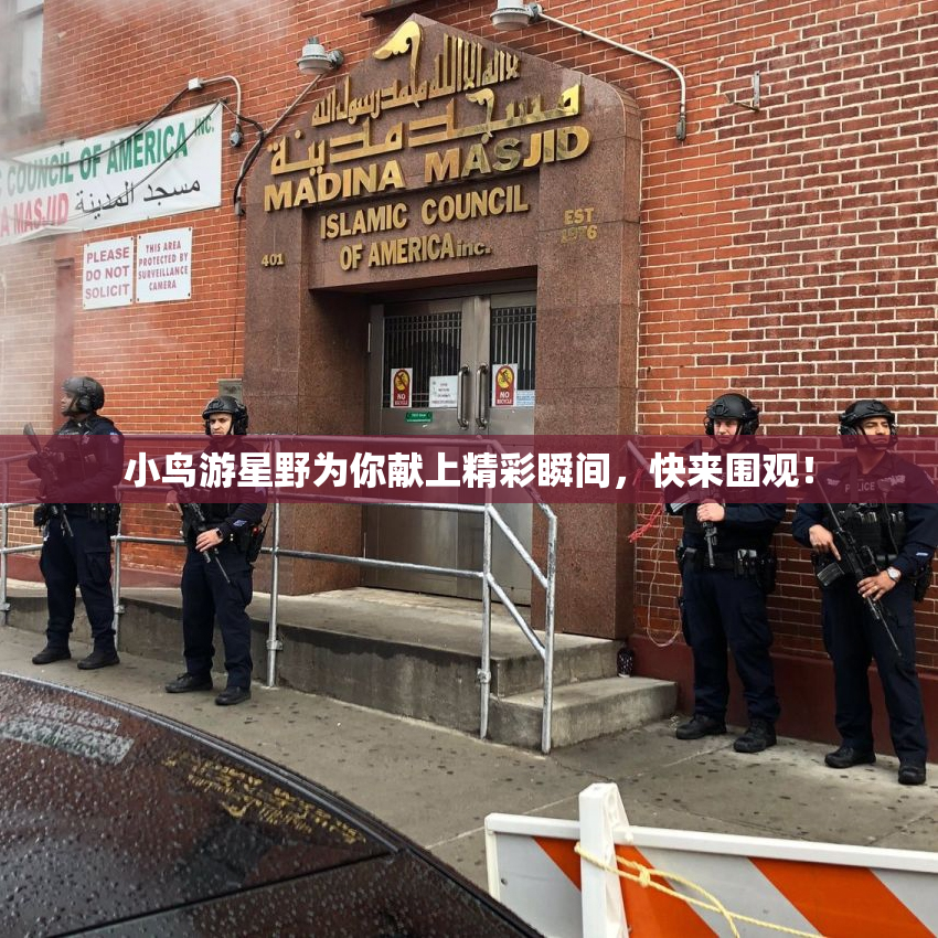小鸟游星野为你献上精彩瞬间，快来围观！