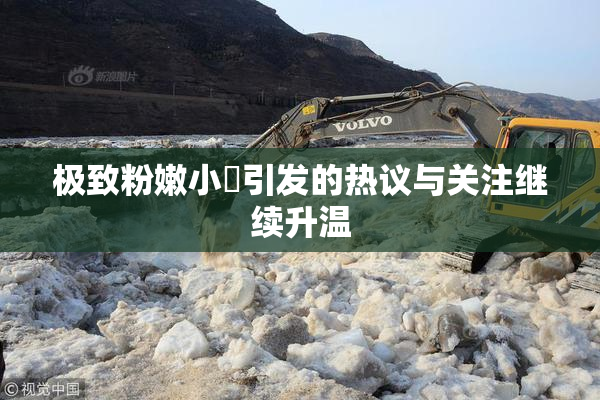 极致粉嫩小泬引发的热议与关注继续升温