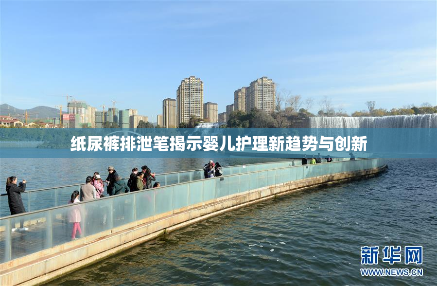纸尿裤排泄笔揭示婴儿护理新趋势与创新
