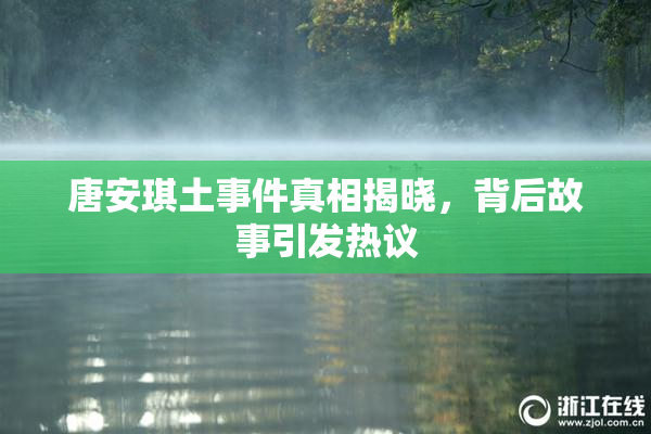 唐安琪土事件真相揭晓，背后故事引发热议